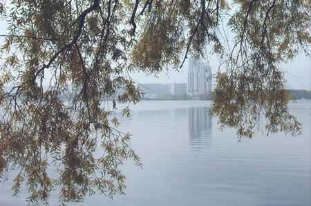 Built in nature I. Кадр 5