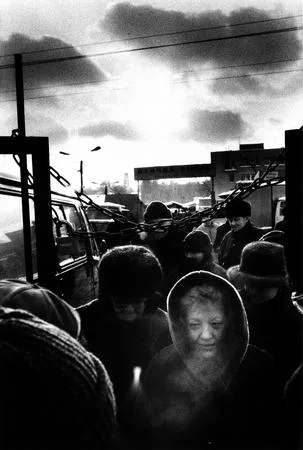Last day of the Bird's market. Кадр 8