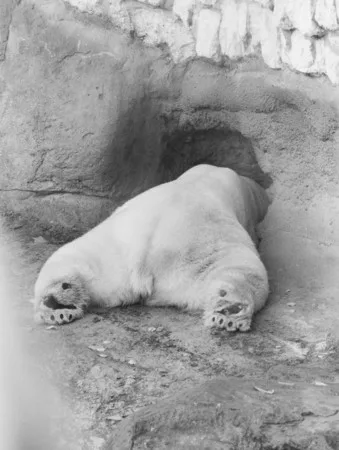 In the zoo. Кадр 4