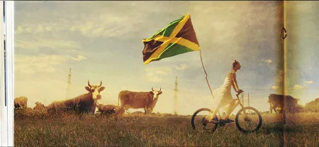 Jamaica. Кадр 3