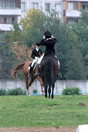 Everyday lives and holidays of a hippodrome. Кадр 3
