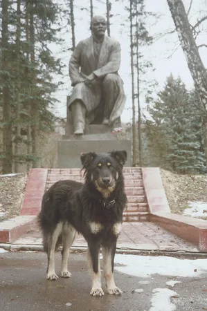 Dogs and Moscow. Кадр 3