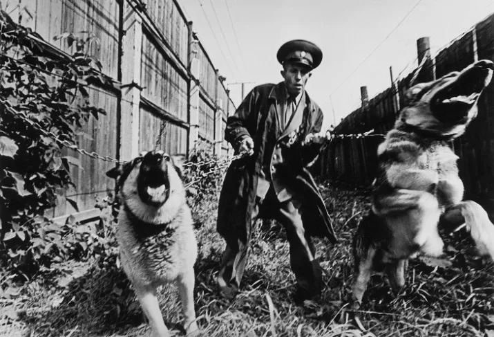 Новый реализм в российской фотографии. 1970 – 1990-е годы. Кадр 9
