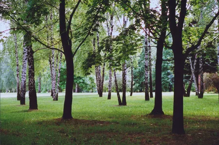 Moscow parks 2. Кадр 5