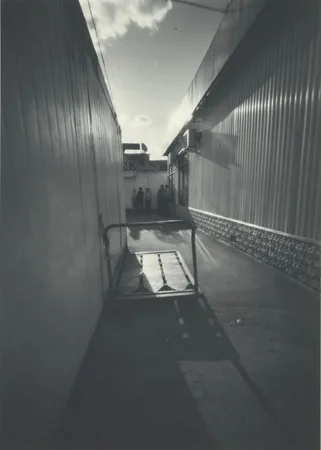 Non-objective reality. From the experience while shooting with obscure camera. Кадр 1