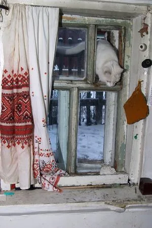 Кострома. Кадр 7
