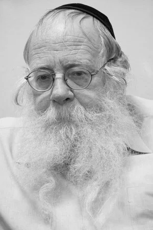 Interview with rabbin Steinzalrzem. Кадр 3