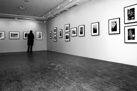 Фотобиеннале 2010. Кадр 13