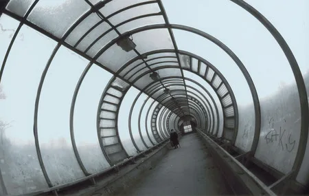 Crossing. Кадр 8