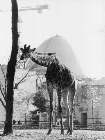 In the zoo. Кадр 5