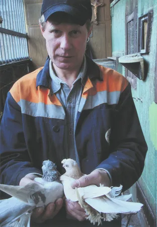 From life of doves. Кадр 12