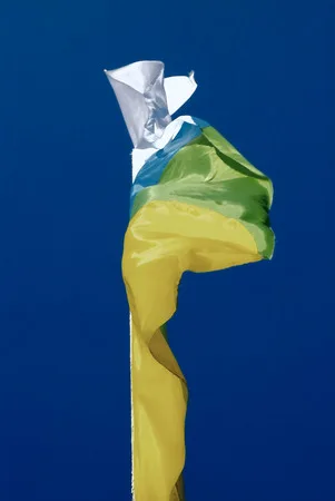A dominant of color. Кадр 7