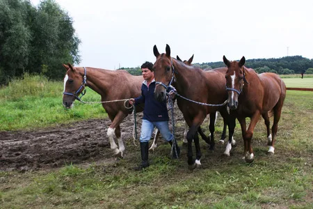 Polo on Russian field. Кадр 6