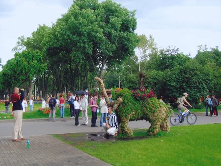 Festival of flowers on the VVC. Кадр 5