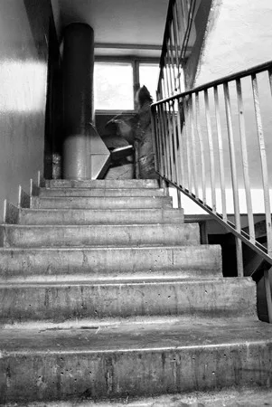 My porch. Кадр 2