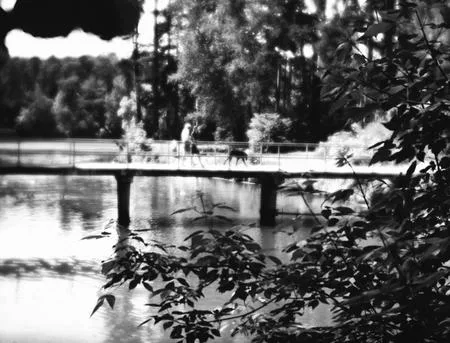 Pictoreal Moscow. Кадр 4