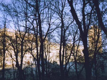 In his own shadow. Кадр 8