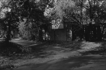 Silent life to Medvedkovo. Кадр 2