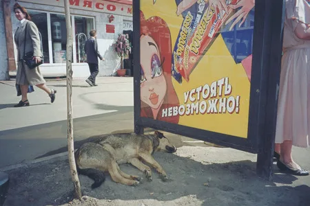 В Москве всегда есть место юмору. Кадр 4