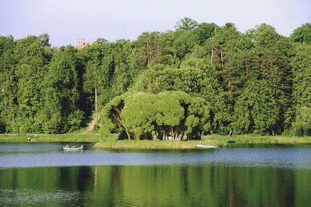 Parcs of Moscow. Кадр 13
