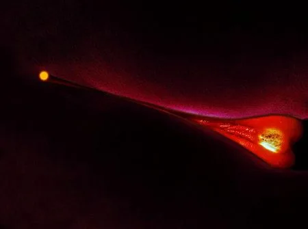 Universe. Кадр 2