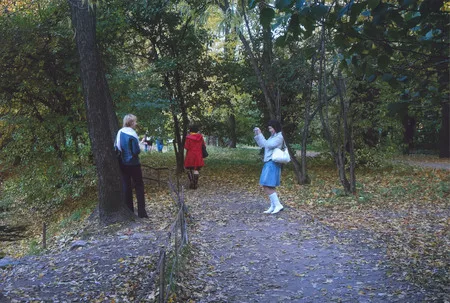 Autumn in the botanic garden of MSU. Кадр 5