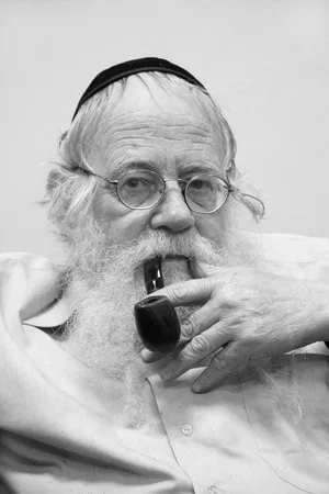 Interview with rabbin Steinzalrzem. Кадр 1
