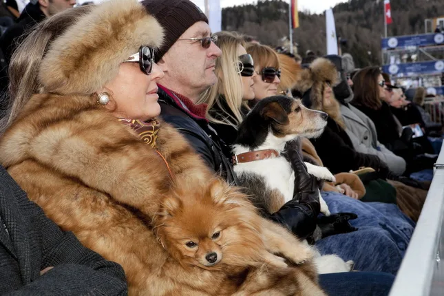 Luxury. Кадр 7