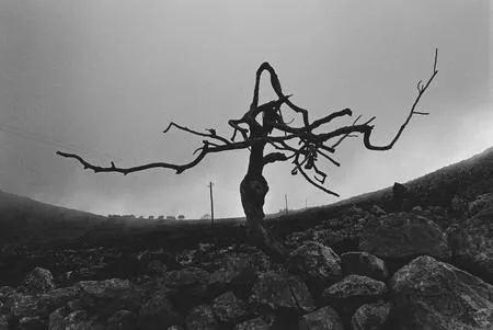 Shadows of silence. Кадр 1