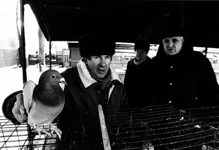 Last day of the Bird's market. Кадр 2