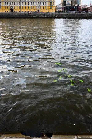 The Moskva river: nine times across. Кадр 2