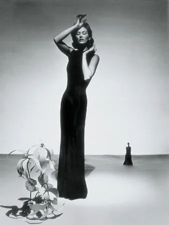 The Model and Her Metamorphoses. Кадр 3