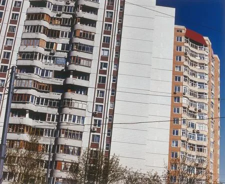 The Moscow starling houses. Кадр 4
