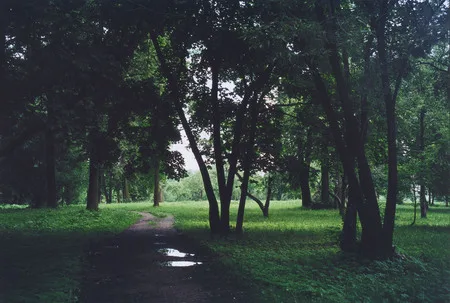 Parcs of Moscow. Кадр 6