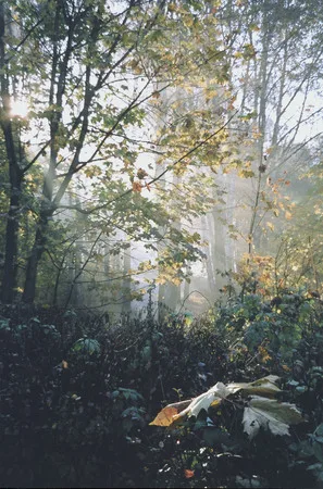 Kuzminki manor. Autumn 2005. Кадр 9