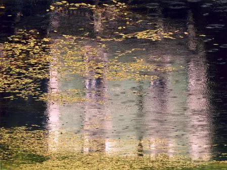 Reflected Moscow. Кадр 2