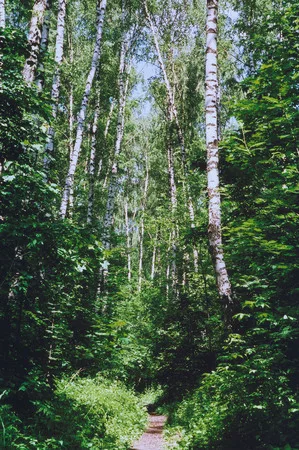 Moscow parks 2. Кадр 12