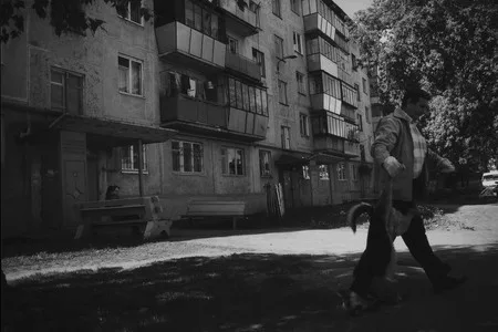 Dogs story. Кадр 6