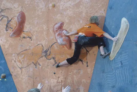 Competitions of the rock-climbing. The Moscow Cup 2004. Кадр 8