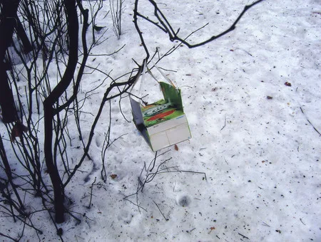 The bird’s public catering. Кадр 1