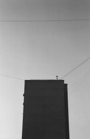 Metacity. Кадр 18