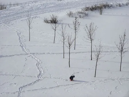 Winter. Novokosino. Кадр 3