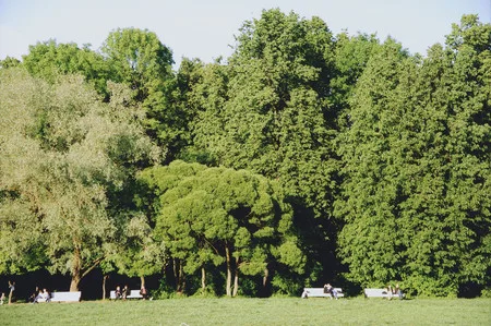 Parcs of Moscow. Кадр 12