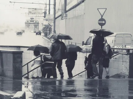 Rain in the city. Кадр 1