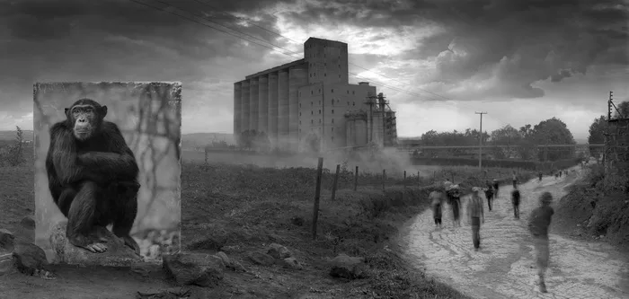 Inherit the Dust. Кадр 2