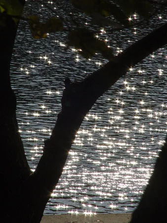 The charms of the light and the water. Кадр 14
