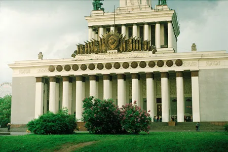 Stalin lilac. Кадр 2
