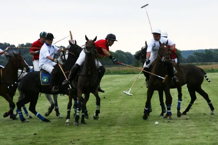 Polo on Russian field. Кадр 5