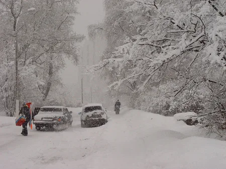Way in a zero-zero weather. Кадр 9