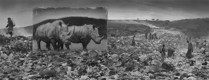 Inherit the Dust. Кадр 9